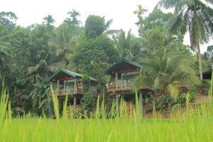 Landskap semula jadi dekat dengan hotel