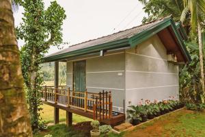 Taman di luar Rainforest Nest