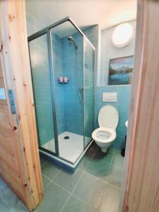 a bathroom with a toilet and a glass shower at Heidi in Leysin