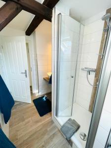 韦斯特雷费尔Hof Steinhütten Boutique Apartments的浴室里带玻璃门的淋浴间 更多57张照片