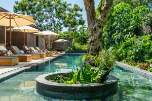 a swimming pool with a tree in the middle at Casa de Agua in Tepoztlán