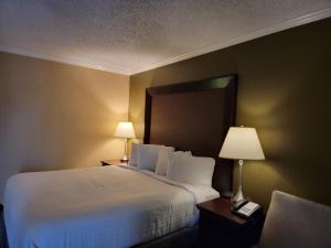 Postel nebo postele na pokoji v ubytování Extend-a-Suites - Extended Stay, I-40 Amarillo West