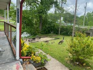 Gallery image of Big Bear River House, Outdoor Grill, River Access, 3 Beds in Pigeon Forge