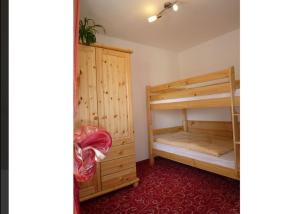 a bedroom with two bunk beds and a red carpet at Guesthouse Elbsandstein App. Bastei in Rathmannsdorf