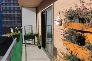 uma varanda com vasos de plantas num edifício de tijolos em Casa Miguelito em Aveiro