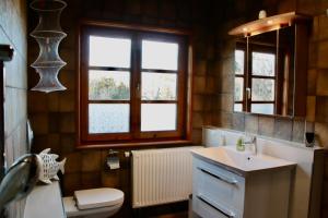 a bathroom with a sink and a toilet and a window at Ferienwohnung Vogelnest in Dietingen