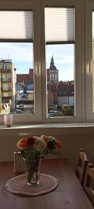 um vaso de flores sobre uma mesa em frente a duas janelas em Apartamenty Gryfice Centrum - Nadrzeczna 2 em Gryfice