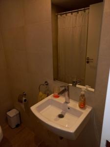 a bathroom with a white sink and a mirror at DEPTO NUEVO CON PILETA EN NUÑEZ in Buenos Aires