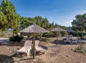 a group of chairs and umbrellas on a beach at Roquetes Bungalows Premium - Formentera Break in Es Pujols