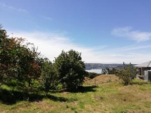 a house on a hill with trees in a field at Cabaña la raspa in Castro +4 photos