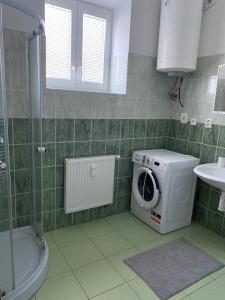 a bathroom with a washing machine and a sink at Karlovický dvůr 251 in Karlovice