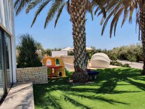 eine Palme im Hof eines Hauses in der Unterkunft Luxury 6 bedrooms villa in Cyprus in Paphos