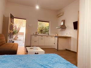 Kuchyň nebo kuchyňský kout v ubytování Louvros Luxury Suites