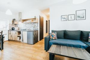 Kuchyň nebo kuchyňský kout v ubytování Apartmán Milbach