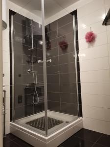 a shower with a glass door in a bathroom at Sea Gate Studio in Zadar