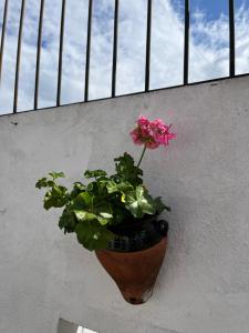 Zdjęcie z galerii obiektu Atico Centro 17 w mieście Jerez de la Frontera