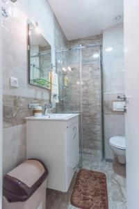 a bathroom with a toilet and a sink and a shower at Drina apartman in Banja Koviljača