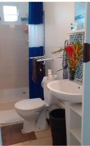 La salle de bains est pourvue de toilettes blanches et d'un lavabo. dans l'établissement VILLA AU COEUR DE LA MARMITE, à Sainte-Marie