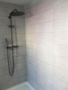 una ducha con cabezal de ducha en un baño en LE STRASBOURG - Confortable maison de ville, en Belfort