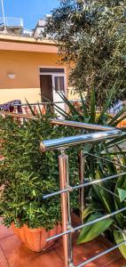 Rõdu või terrass majutusasutuses Berti Apartment