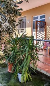 Rõdu või terrass majutusasutuses Berti Apartment