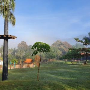 圣代佩德罗Cabana Hostel Sobrado EcoPark的公园中间的小树 更多11张照片