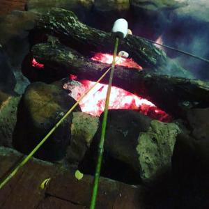 圣代佩德罗Cabana Hostel Sobrado EcoPark的相册照片