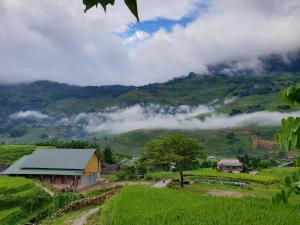 a farm in a field with a mountain in the background at Sapa Eco Hugo in Sa Pa