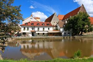 a large building with a pond in front of it at Hotel Klika in České Budějovice