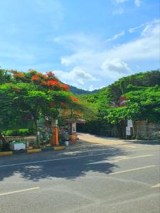 Ulica z drzewem z czerwonymi kwiatami w obiekcie Visal Sak Guesthouse w mieście Kep
