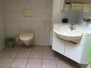 bagno con lavandino e servizi igienici di Chambres d'hôtes a Les Genevez