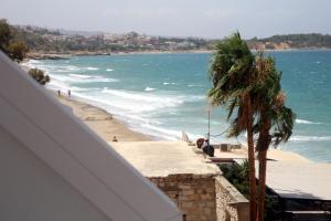 a view of a beach with a palm tree and the ocean at THALIA APARTMENTS CHANlA in Chania Town +79 photos