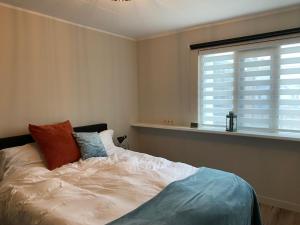 1 dormitorio con cama con almohadas y ventana en Holiday aan de Kust, en Rijnsburg