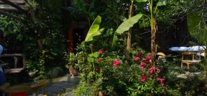 Garður fyrir utan WuYuan QiYe YanXiang Guesthouse