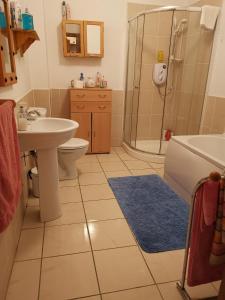 a bathroom with a shower and a sink and a toilet at Ground Floor Slievemore Apartment in Bellanasally