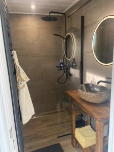 a bathroom with a sink and a glass shower at Appartement Het Bovenhuys in Baflo