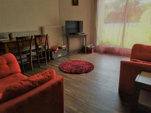 a living room with two couches and a television at La Maison Du Lavoir in Payroux