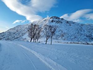 Gallery image of T-R Huset i Hellosan in Bøstad +29 photos