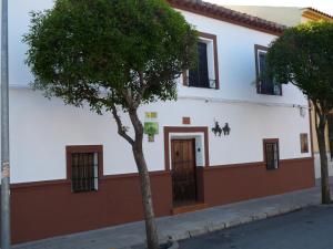 Argamasilla de AlbaCASA RURAL QUIJOTE Y SANCHO的一栋白色建筑，前面有一棵树