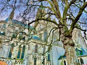 a large building with a tree in front of it at Maison de ville Bayeux in Bayeux