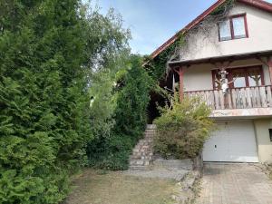 a house with a bunch of ivy growing on it at Parádóhuta Apartman in Parád