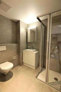 La salle de bains est pourvue de toilettes, d'un lavabo et d'une douche. dans l'établissement The 109 - Stunning new studios by the lake, close to city center of Lausanne, à Paudex