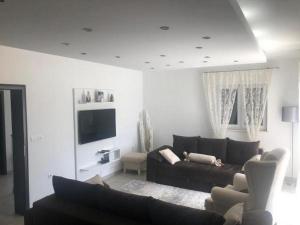 a living room with a couch and a tv at Apartment Villa Morena in Čilipi