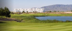 Gallery image of Golf Course View Penthouse in El Romero