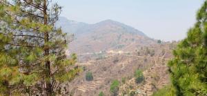 Φωτογραφία από το άλμπουμ του Blue Pine Orchards - Apartments σε Lansdowne +40 φωτογραφίες