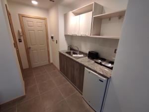 a small kitchen with white cabinets and a sink at Apart Hotel Endurance in Punta Arenas