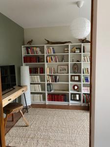 een kamer met een boekenplank gevuld met boeken bij Maison de campagne familiale sur la route des Châteaux in Huisseau-sur-Mauves