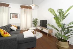 ein Wohnzimmer mit einem grauen Sofa und einem TV in der Unterkunft SANTANDER CENTRO in Santander
