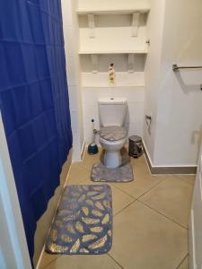 a bathroom with a toilet with blue walls and rugs at Regal Suites At Clifton Place in Accra