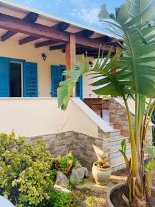 サン・ヴィート・ロ・カーポにあるVilla Ancora Bed & Breakfastの青い襖と植物のある家